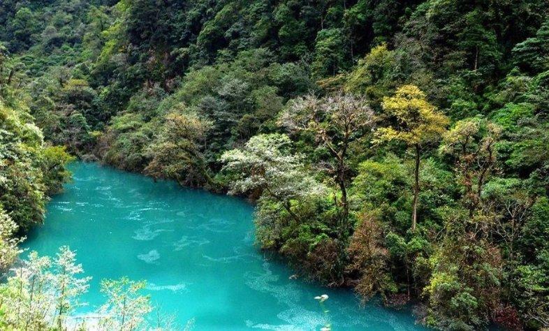 刺客信条：枭雄